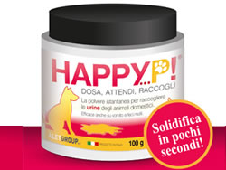 Happy P