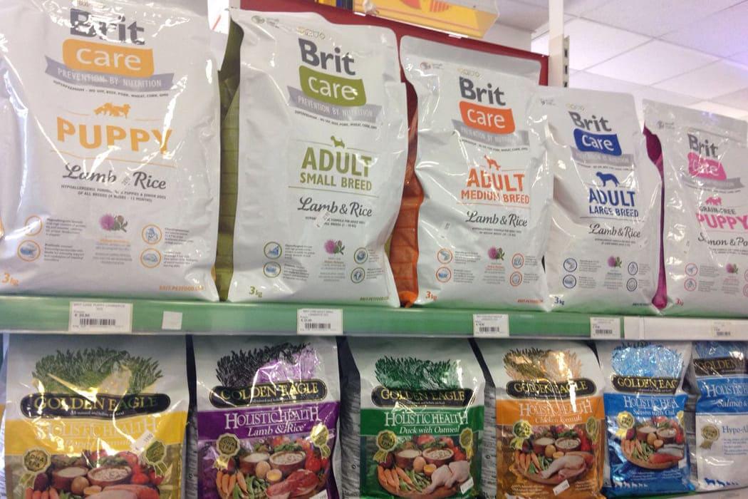 BritCare: golden eagle