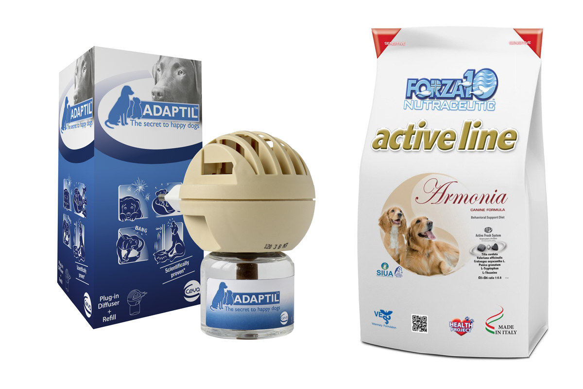 In vacanza con il tuo cane