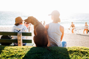 in vacanza con i nostri animali