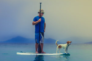 in vacanza con i nostri animali