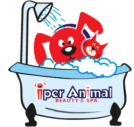 toilettatura iperanimal