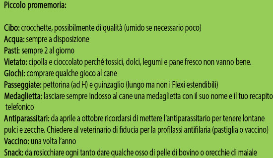 Promemoria-adozione