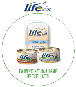 Life cat