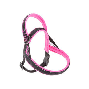 SPORT-DOG-Pettorina