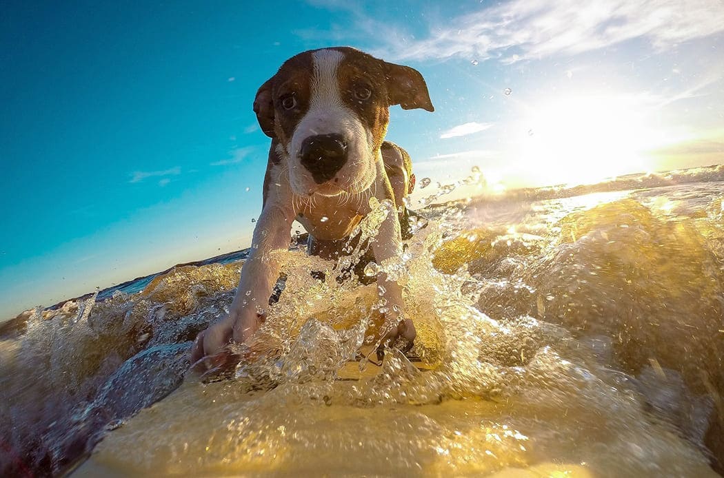 tappetino refrigerante