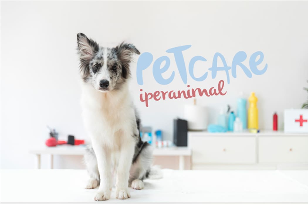 Petcare