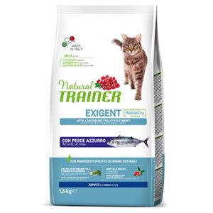 Natural Trainer Exigent Gatti - Pesce Azzurro