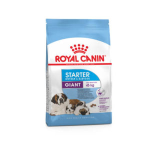 royal-canin-cani-GIANT-STARTER