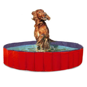 Karlie Piscina per Cani