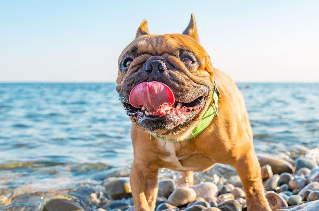 estate calda: ecco i consigli