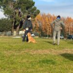 Campo di addestramento per cani a Varese- Iperanimal