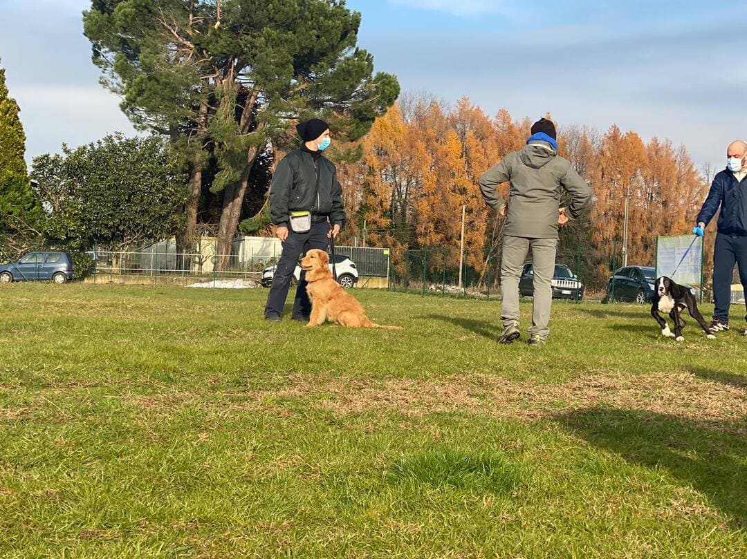 Campo di addestramento per cani a Varese- Iperanimal