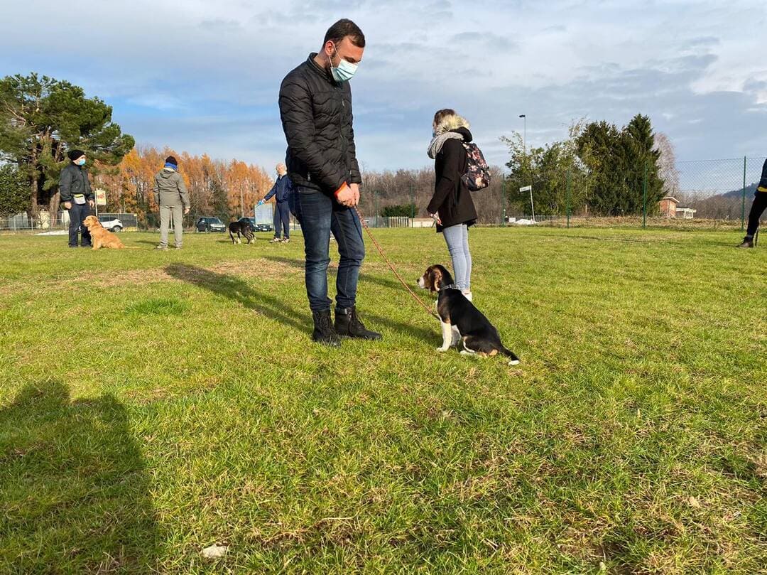 Campo di addestramento per cani a Varese- Iperanimal