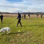Campo di addestramento per cani a Varese- Iperanimal