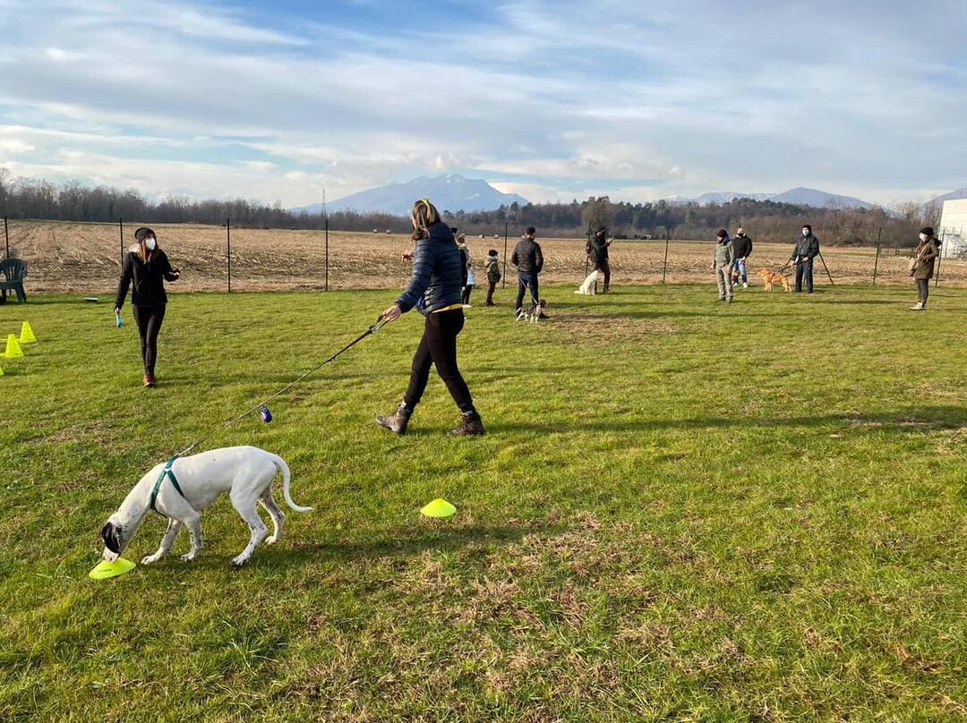 Campo di addestramento per cani a Varese- Iperanimal