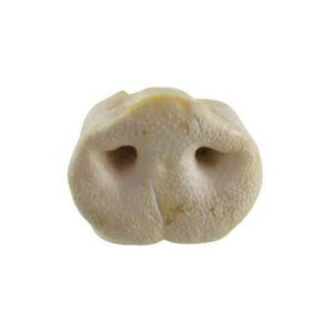 Karlie Nasi di Maiale Sbiancati