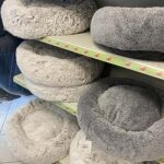 idee regalo per cani e gatti idee regalo per cani e gatti