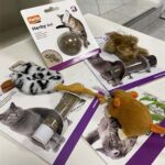 idee regalo per cani e gatti idee regalo per cani e gatti