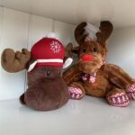 idee regalo per cani e gatti idee regalo per cani e gatti