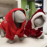 idee regalo per cani e gatti idee regalo per cani e gatti