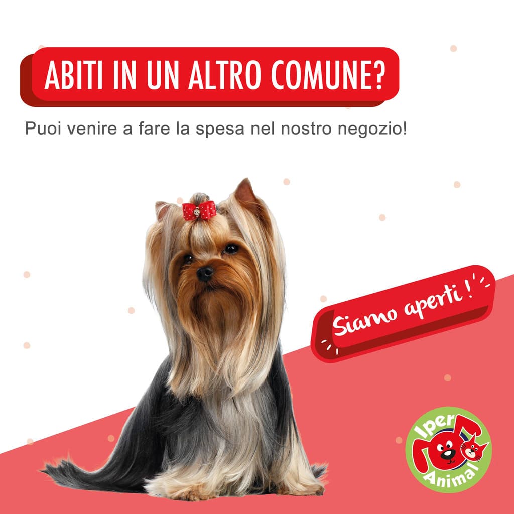 spesa fuori comune zona rossa - iperanimal cantello