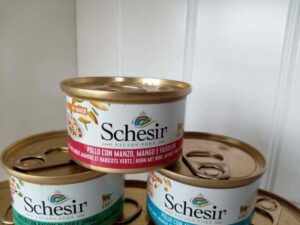 Novità Schesir - Salads Poke