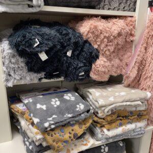 essenziali per l'inverno