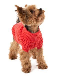 essenziali per l'inverno