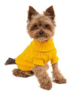 essenziali per l'inverno