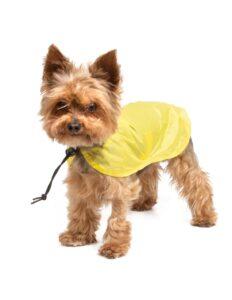 essenziali per l'inverno