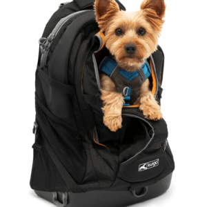 trasportini per il tuo pet