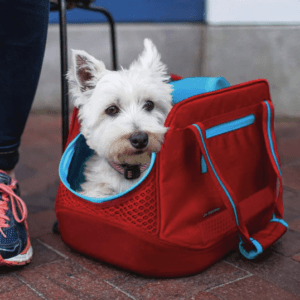 trasportini per il tuo pet