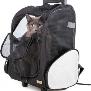 trasportini per il tuo pet