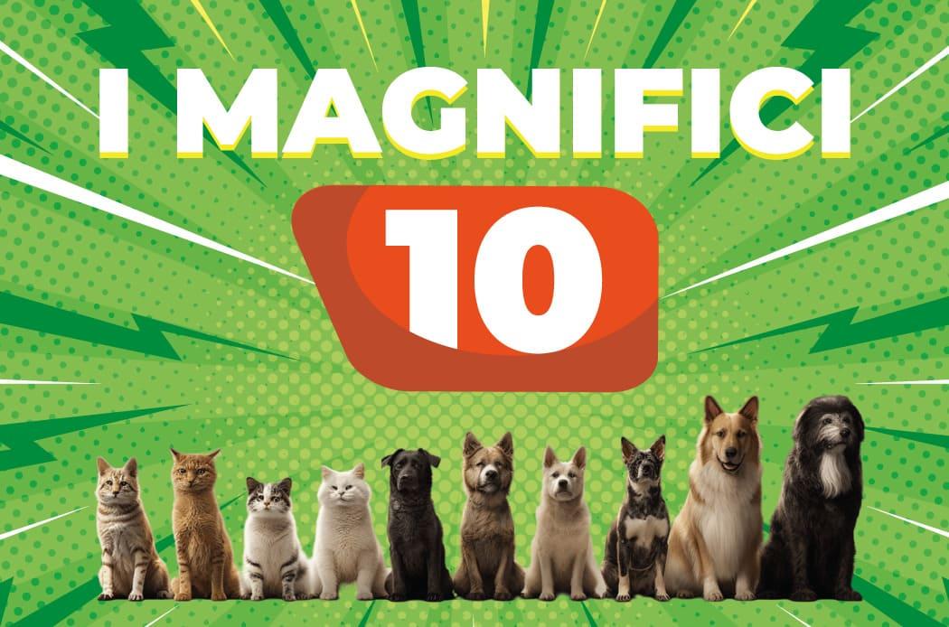i magnifici 10