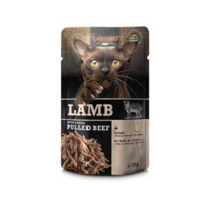 Leonardo Pulled Beef