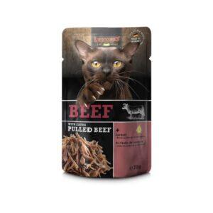 Leonardo Pulled Beef