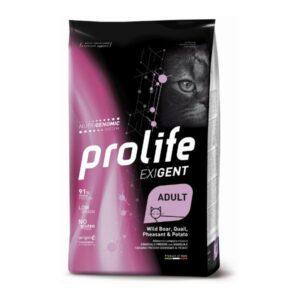 Prolife Exigent Adult Gatto