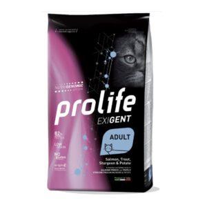 Prolife Exigent Adult Gatto