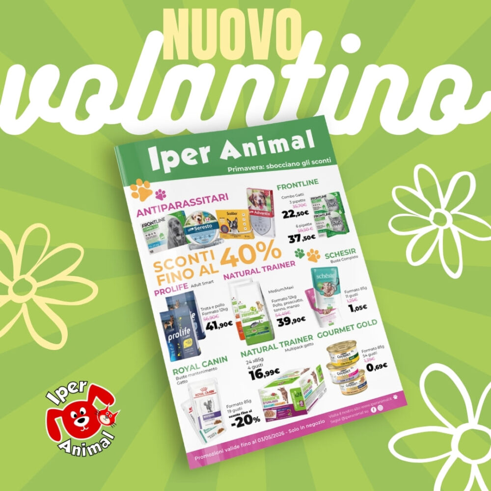 volantino primavera 26