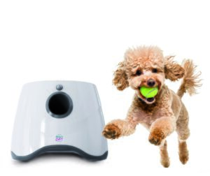 Lancia palline automatico Easypet
