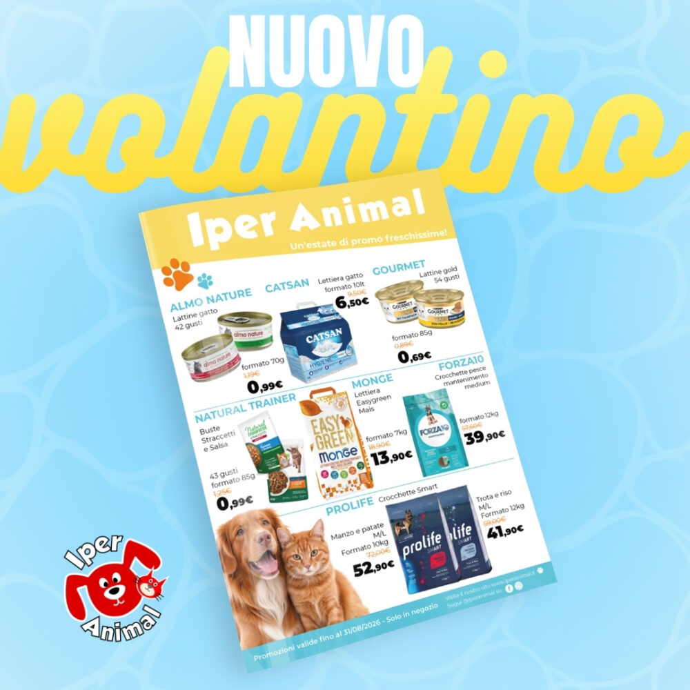 VolantinoLuglio26_sito