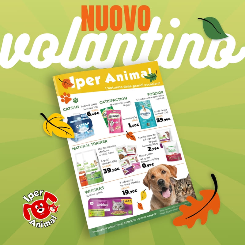 VolantinoSETT26_sito (1)